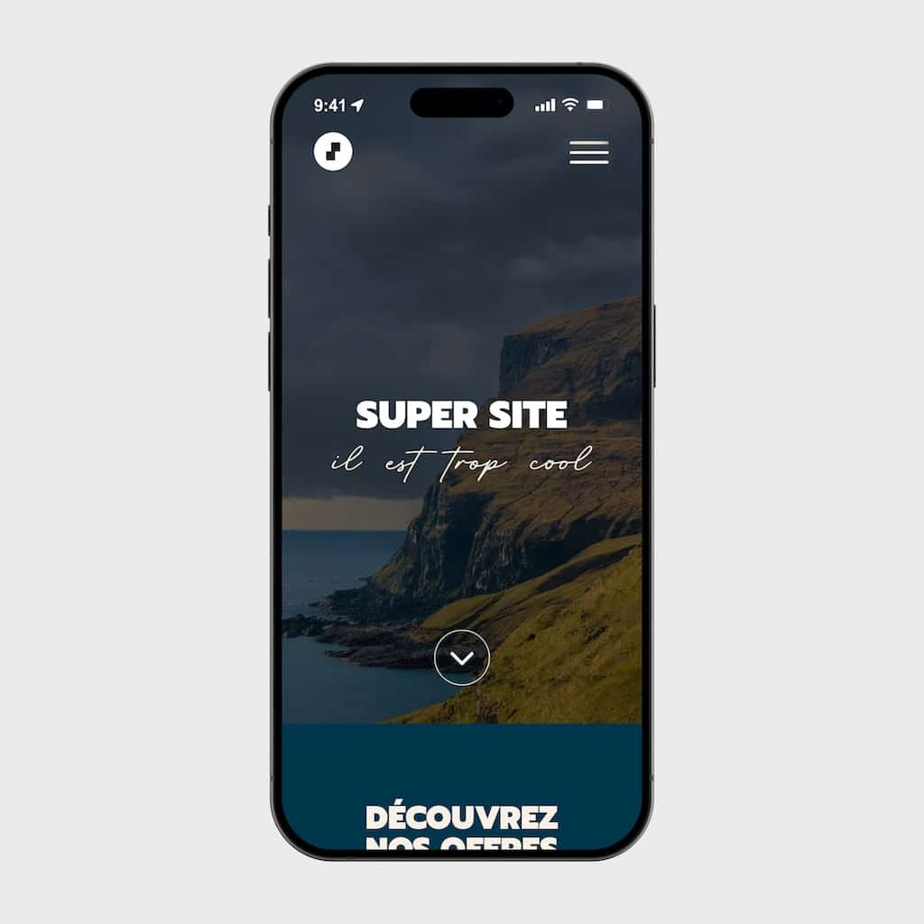 Exemple de site wordpress pas cher mobile