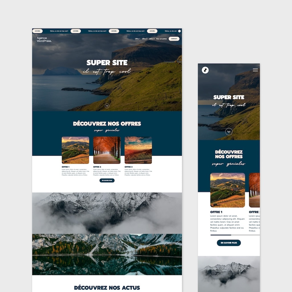 Site wordpress pas cher en version ordinateur et mobile